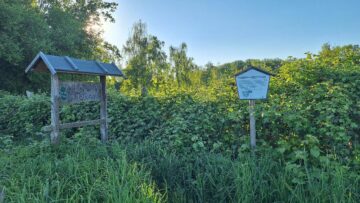 Wohnbaugrundstück am ruhigen Ortsrand von Taucha / Ortsteil Plösitz - Blick ins LSG Parthenau-Machern (21544)