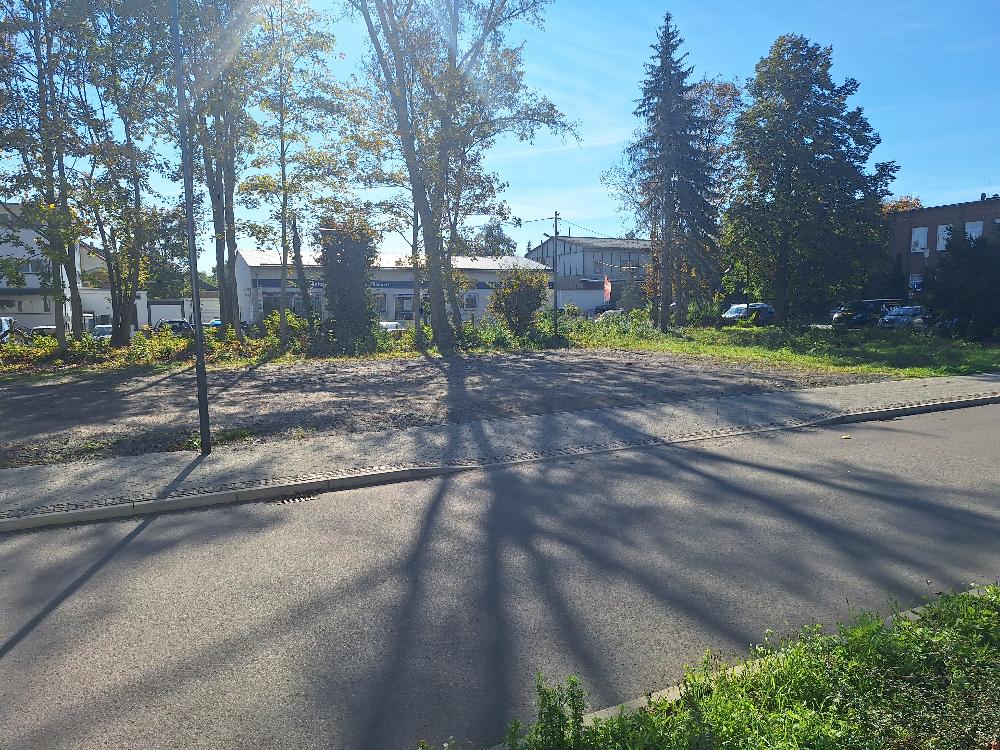Baumbestand Teilfläcge