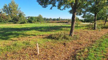 Wohnbaugrundstück am ruhigen Ortsrand von Taucha / Ortsteil Plösitz - Aussenansichten (21895)