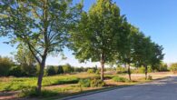 Wohnbaugrundstück am ruhigen Ortsrand von Taucha / Ortsteil Plösitz - Blick ins Wohngebiet